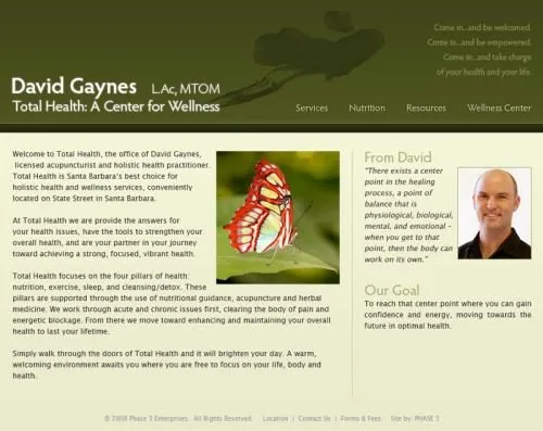 David Gaynes website project