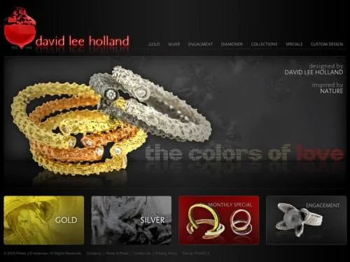 David Lee Holland2 website project