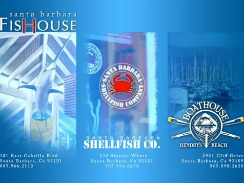 Fis House website project