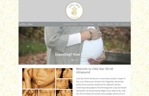 Littlestar website project